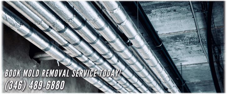 Air Duct Mold Removal in Spring TX