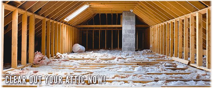 Attic Cleaning Spring TX